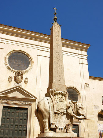 Foto Elefant von Bernini