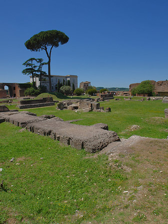 Fotos Domus Augustana und das Museo Palatino | Rom