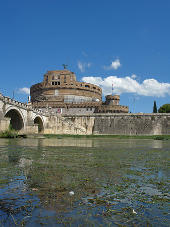 Tiber