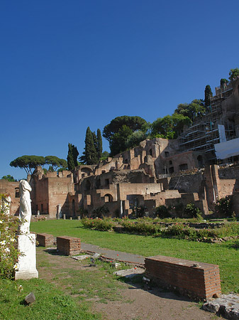 Basilica Iulia Foto 