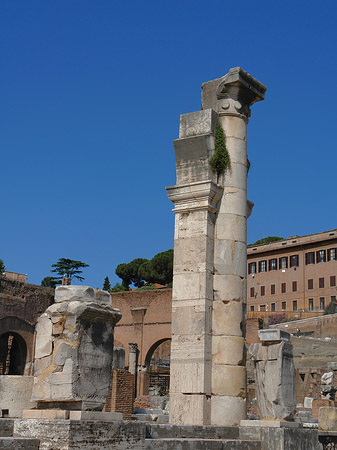 Säulen im Forum Romanum Foto 