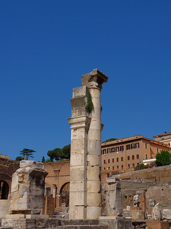 Säulen im Forum Romanum