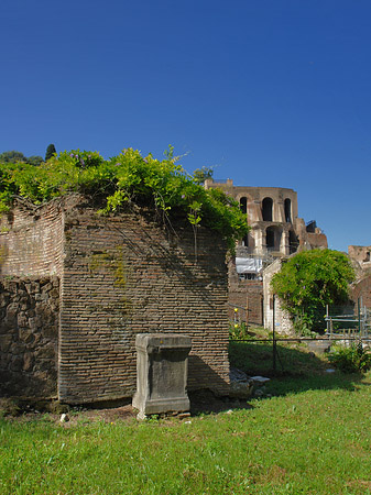 Fotos Steine im Forum Romanum | Rom