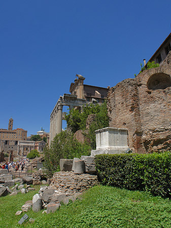 Foto Weg am Tempel