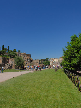 Foto Weg ins Forum Romanum