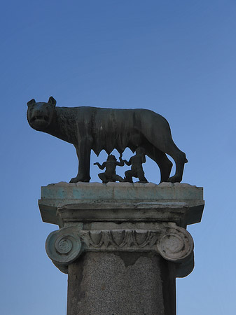 Fotos Romulus und Remus Säule | Rom