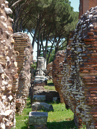 Fotos Ruinen am Apollo Tempel | Rom