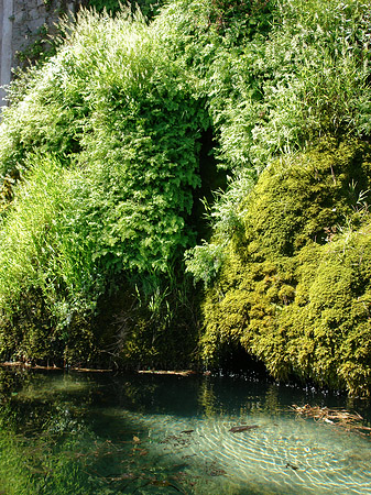 Fotos Wasser am Palatin | Rom