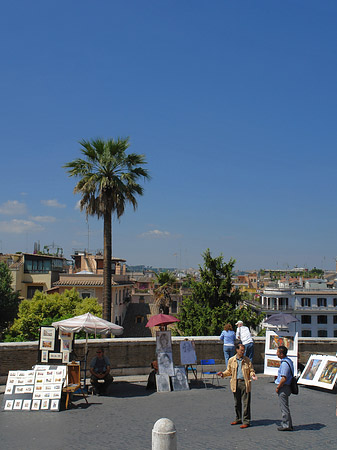 Fotos Palme an der Spanischen Treppe