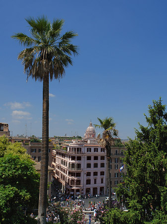 Foto Palme an der Spanischen Treppe - Rom