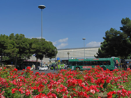 Fotos Blumen am Bahnhof | Rom