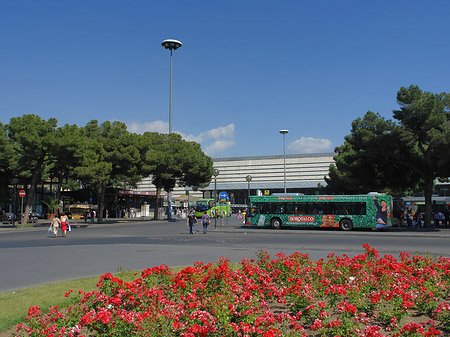 Fotos Blumen am Bahnhof | Rom