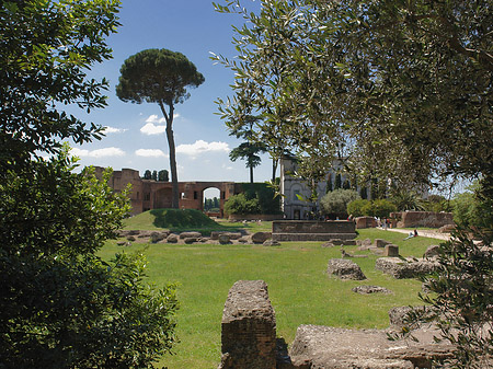 Fotos Domus Augustana und das Museo Palatino | Rom