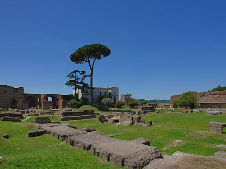 Domus Augustana und das Museo Palatino Fotos