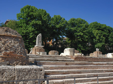 Bäume im Forum Romanum Fotos