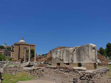 Fotos Basilica Aemilia