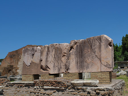 Foto Basilica Aemilia