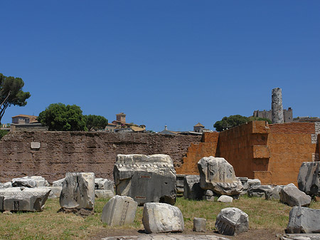 Fotos Basilica Aemilia | Rom