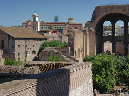 Blick auf das Forum Romanum Foto 