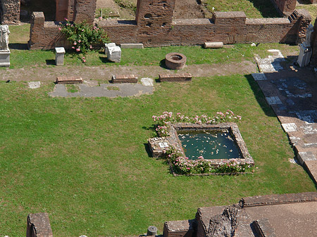 Blick auf das Forum Romanum