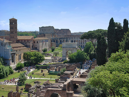 Blick auf das Forum Romanum