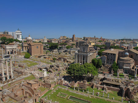 Blick auf das Forum Romanum Fotos