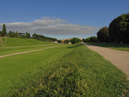 Circus Maximus