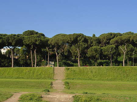 Foto Circus Maximus - Rom