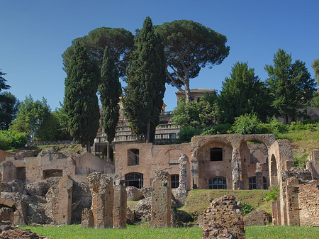 Foto Forum Romanum