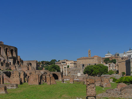 Fotos Forum Romanum | Rom