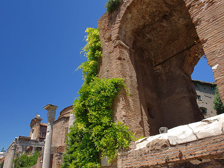 Forum Romanum