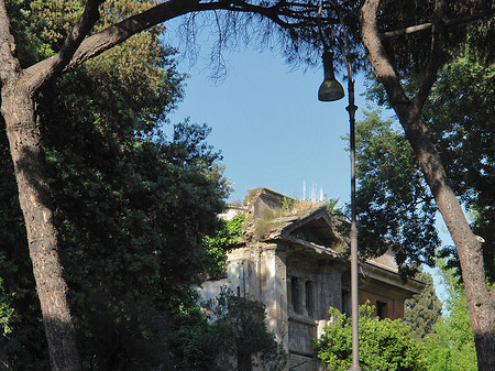 Forum Romanum Fotos