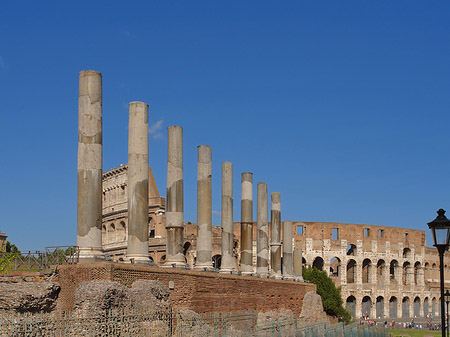 Fotos Kolosseum mit dem Forum Romanum