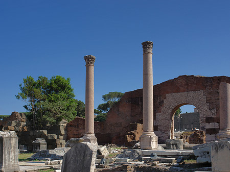 Fotos Säulen im Forum Romanum | Rom