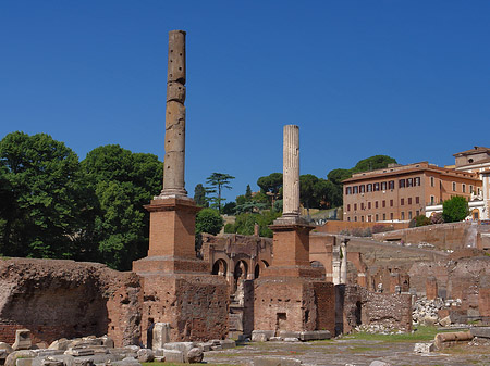 Foto Säulen im Forum Romanum - Rom