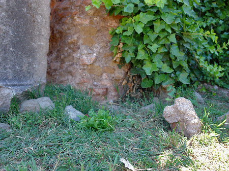 Steine im Forum Romanum Fotos