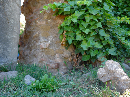 Fotos Steine im Forum Romanum | Rom