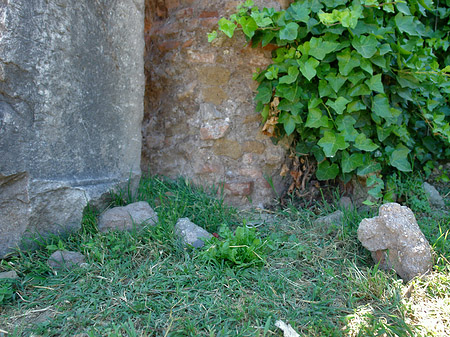 Steine im Forum Romanum Foto 