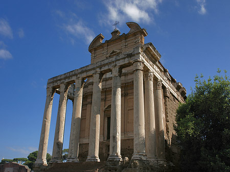 Tempel des Antoninus Pius und der Faustina Fotos