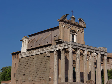 Fotos Tempel des Antoninus Pius und der Faustina | Rom