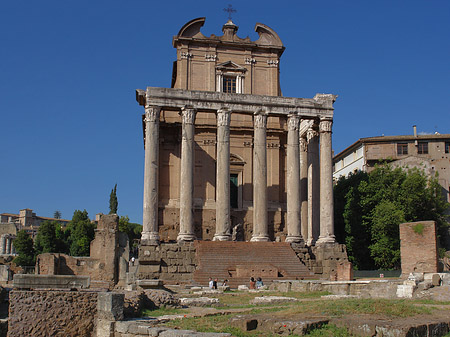 Tempel des Antoninus Pius und der Faustina Fotos