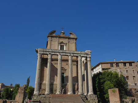 Foto Tempel des Antoninus Pius und der Faustina - Rom