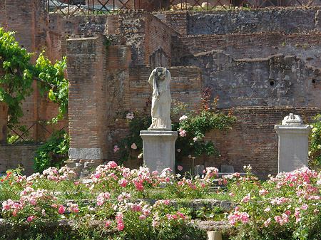 Tempel der Vesta Foto 