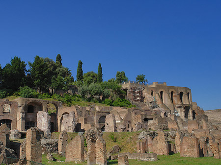 Foto Tempel der Vesta