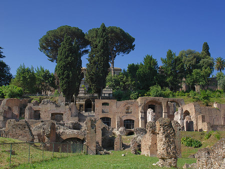 Tempel der Vesta Foto 