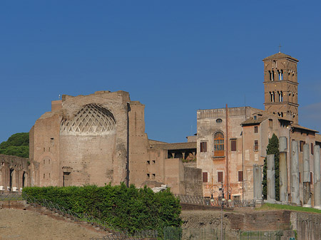 Tempel der Venus