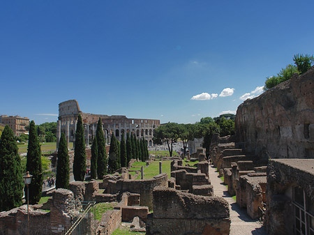 Fotos Kolosseum mit dem Forum Romanum