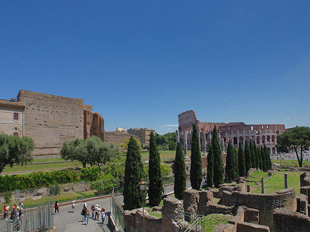 Fotos Kolosseum mit dem Forum Romanum