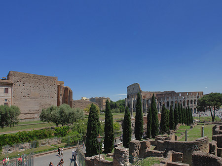 Kolosseum mit dem Forum Romanum Fotos