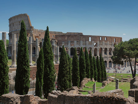 Kolosseum mit dem Forum Romanum Fotos